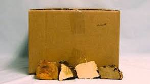 Cookshack Wood Chunks Apple - 20 lbs.